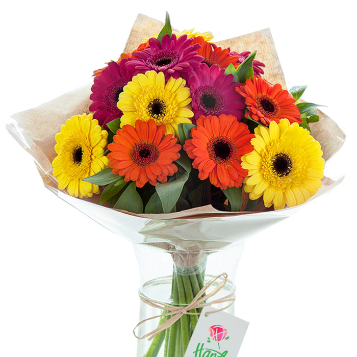 Prominently positioned against a luminous white background, this vibrant hand-tied bouquet of Gerbera daisies exudes happiness and artistry-reflecting the welcoming atmosphere of the Hampton Hill community. Fluorescent shades of yellow, tangerine orange, and lively fuchsia bloom together, with each blossom distinguished by its characteristic, nearly black center. The interplay of vivid petals and rich green leaves gives the arrangement a feeling of abundance and freshly gathered joy, like a walk along Hampton Hill's park-lined avenues in full spring. The bouquet is wrapped with care in layers of subtly textured, light brown kraft paper, recalling the earthy elegance found in local artisan shops, while a clear cellophane shroud allows every vibrant petal and edge of foliage to shine in natural light. Inside the crystal-clear, slightly flared vase, the cut stems are immersed in water, their crisp lines magnified for visual freshness and longevity-a subtle signal of the florist's dedication to quality. The stems are bundled with a decorative twine bow, to which a small tag is affixed, adorned with a delicate floral motif and partially visible script, signifying a personal touch. This arrangement, crafted with a blend of technical precision and creative flair, is suitable for a range of occasions-from joyful celebrations and heartfelt thank-yous to simply brightening a home or office in Hampton Hill. Every detail, from colour choice to presentation, is an invitation to savour both the beauty and the community spirit of this unique London neighbourhood.