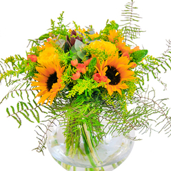 The first impression of this luxurious bouquet is sheer warmth and vitality, brilliantly echoing the sunlit garden scenes you might find in Hampton Hill near Bushy Park on a golden afternoon. Dominant sunflowers with deep brown centres and brilliant yellow-orange petals stand radiant, beckoning memories of late summer strolls along Park Road. Nestled seamlessly among them, buttery yellow garden roses open in plush spirals, bringing a timeless elegance into the mix. Clusters of ruby-red Hypericum berries, scattered purposefully throughout, inject the design with unexpected vibrancy and remind one of the colourful fruits seen at local weekend markets. The arrangement overflows with verdant foliage: delicate, cascading ferns soften the edges with their airy fronds, while sprigs of goldenrod add subtle yellow highlights and hint at the wildflower meadows just beyond the High Street. Eucalyptus leaves, tinged a silvery blue-green, peek out gently, enhancing the bouquet's relaxed, natural charm. All these elements are gathered artfully in a clear, round glass vase, where submerged stems glisten in fresh water, ensuring the bouquet feels as fresh as a morning breeze off the Thames. Thoughtfully arranged, this display makes an ideal centrepiece or heartfelt gift-a luminous embodiment of joy for celebrations from birthdays to anniversaries, or simply to brighten homes across Hampton Hill. Every detail, from petal to vase, attests to the care and creativity of local florists rooted in the pulse of their community.